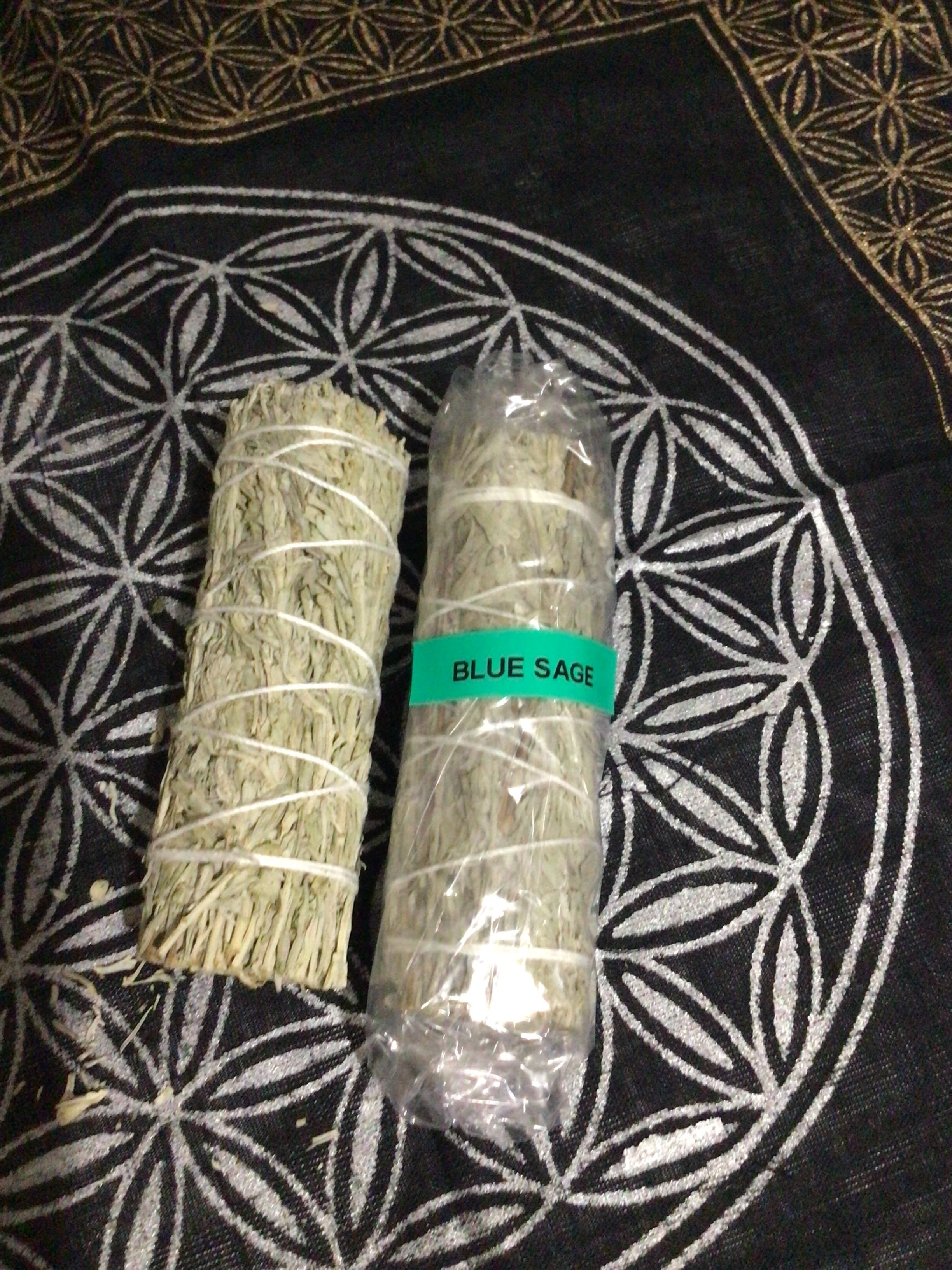 Blue sage (Grandmother)